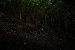 BIB: 
                            <button type="button" onclick="openModal(25095707)" class="btn btn-primary btn-sm float-right btn-popup" data-toggle="modal" data-target=".modal-high-quality">
                        <i class="fas fa-shopping-cart"></i> Add to Cart
                    </button>
                                            <button type="button" onclick="isThisMe(25095707, true)" class="btn btn-success btn-sm float-right btn-popup btn-isme hidden" data-toggle="tooltip" data-placement="bottom" title="นี่คือรูปของคุณใช่ไหม คลิกที่นี่เพื่อเอาเข้าอัลบั้ม">
                        <i class="fas fa-plus"></i> Add to album
                    </button>
                    <button type="button" onclick="isThisMe(25095707, false)" class="btn btn-warning btn-sm float-right btn-popup btn-isnotme hidden">
                        <i class="fas fa-ban"></i> Remove from album
                    </button>